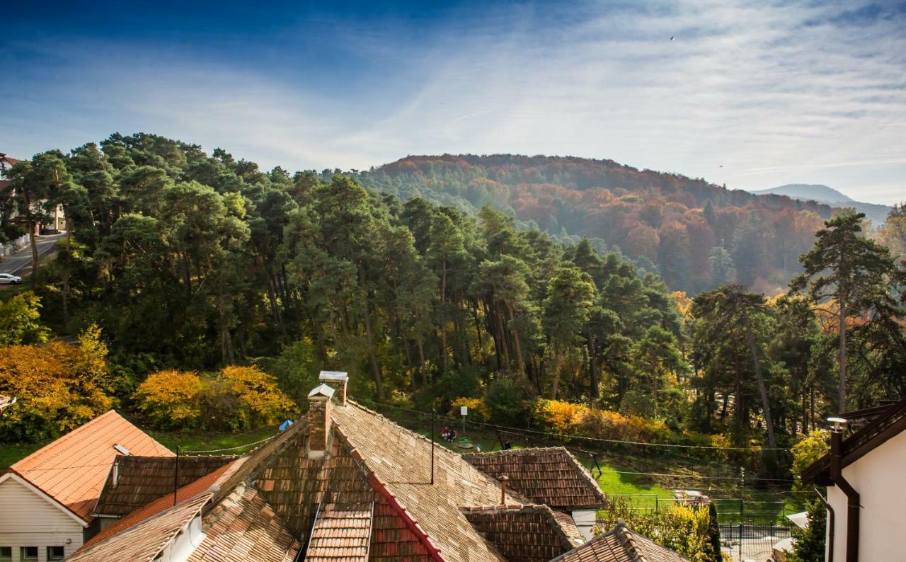 Geppetto'S Studio Braşov Dış mekan fotoğraf