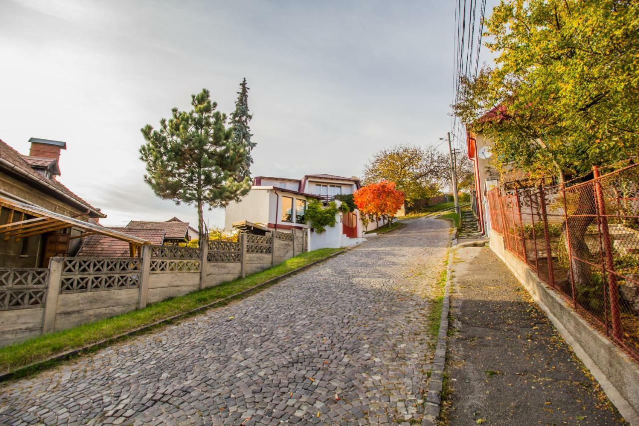 Geppetto'S Studio Brasov Daire Dış mekan fotoğraf